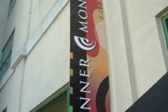 Tanner Banner